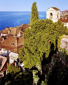 Lavaux